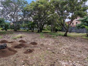 Se vende lote de 3500m2 en Concepción Heredia 25-1922