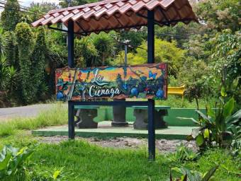 Se vende lote de 3500m2 en Concepción Heredia 25-1922