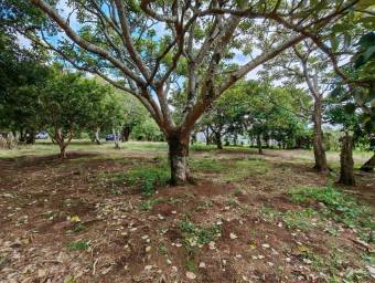 Se vende lote de 3500m2 en Concepción Heredia 25-1922