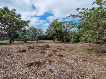 Se vende lote de 3500m2 en Concepción Heredia 25-1922