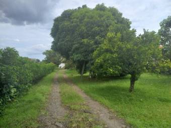 Se vende amplia finca de 3,800m2 en San Pedro de Barva 25-121