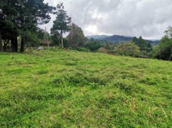 Se vende lote de 7300m2 en Puraba de Santa Barbara 23-874