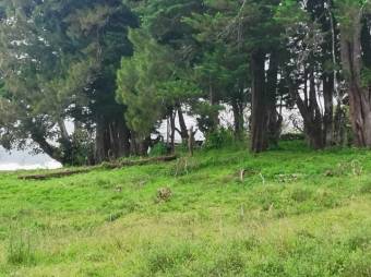 Se vende lote de 7300m2 en Puraba de Santa Barbara 23-874