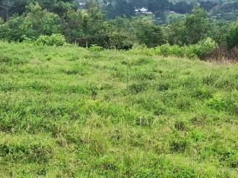 Se vende lote de 7300m2 en Puraba de Santa Barbara 23-874