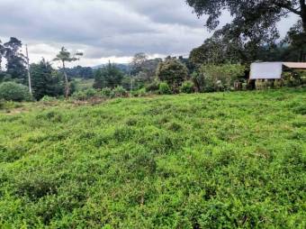 Se vende lote de 7300m2 en Puraba de Santa Barbara 23-874