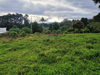 Se vende lote de 7300m2 en Puraba de Santa Barbara 23-874