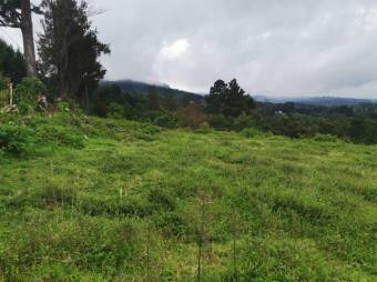 Se vende lote de 7300m2 en Puraba de Santa Barbara 23-874