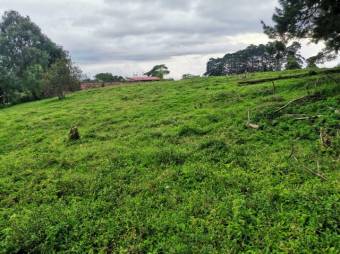 Se vende lote de 7300m2 en Puraba de Santa Barbara 23-874