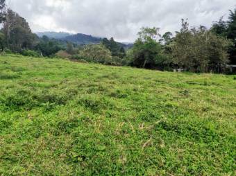 Se vende lote de 7300m2 en Puraba de Santa Barbara 23-874