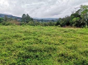 Se vende lote de 7300m2 en Puraba de Santa Barbara 23-874