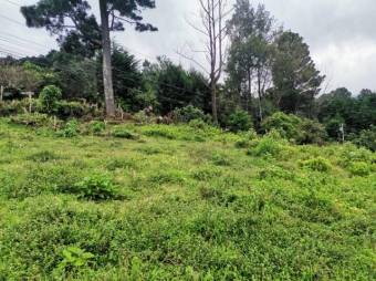 Se vende lote de 7300m2 en Puraba de Santa Barbara 23-874