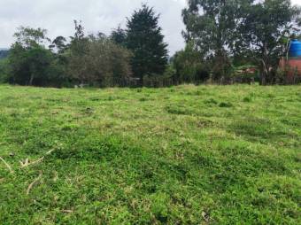 Se vende lote de 7300m2 en Puraba de Santa Barbara 23-874