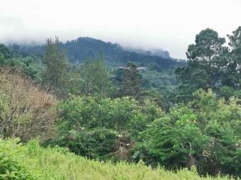 Se vende lote de 7300m2 en Puraba de Santa Barbara 23-874