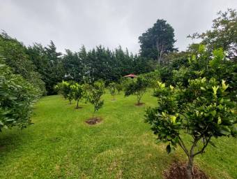 Se vende finca de 2,456m2 en Concepción de Heredia 26-434