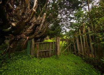 Se vende lote de 3,200m2 en San Isidro de Heredia 25-608