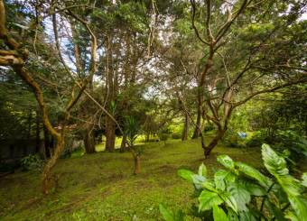 Se vende lote de 3,200m2 en San Isidro de Heredia 25-608