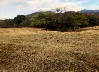 LOT FOR SALE, GUANACASTE, SANTA CRUZ, DIRIÁ - 9589013