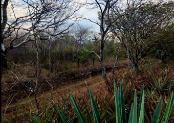 LOT FOR SALE, GUANACASTE, SANTA CRUZ, DIRIÁ - 9589013