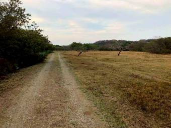 LOT FOR SALE, GUANACASTE, SANTA CRUZ, DIRIÁ - 9589013