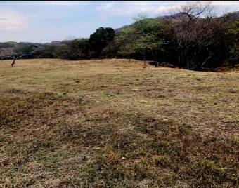 LOT FOR SALE, GUANACASTE, SANTA CRUZ, DIRIÁ - 9589013