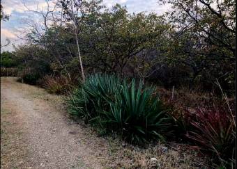 LOT FOR SALE, GUANACASTE, SANTA CRUZ, DIRIÁ - 9589013