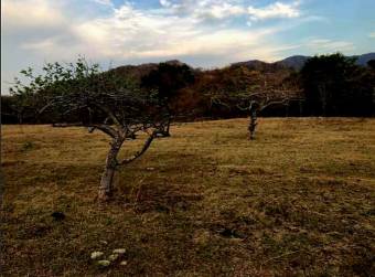 LOT FOR SALE, GUANACASTE, SANTA CRUZ, DIRIA - 9589309