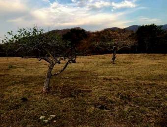 LOT FOR SALE, GUANACASTE, SANTA CRUZ, DIRIA - 9589309