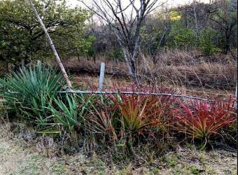 LOT FOR SALE, GUANACASTE, SANTA CRUZ, DIRIA - 9589309