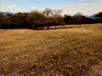 LOT FOR SALE, GUANACASTE, SANTA CRUZ, DIRIA - 9589309