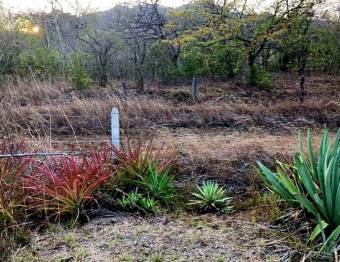 LOT FOR SALE, GUANACASTE, SANTA CRUZ, DIRIA - 9589309