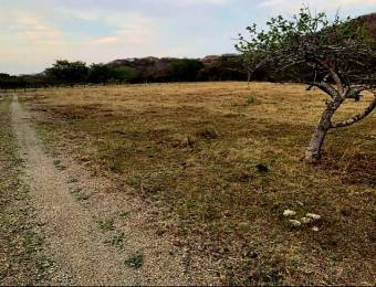 LOT FOR SALE, GUANACASTE, SANTA CRUZ, DIRIA - 9589309