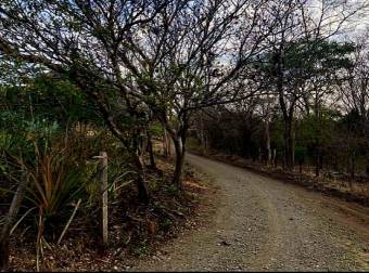 LOT FOR SALE, GUANACASTE, SANTA CRUZ, DIRIA - 9589397