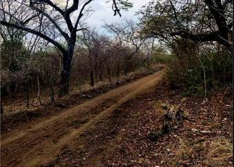 LOT FOR SALE, GUANACASTE, SANTA CRUZ, DIRIA - 9589397