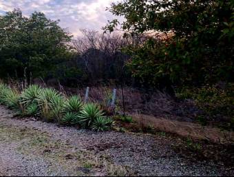 LOT FOR SALE, GUANACASTE, SANTA CRUZ, DIRIÁ - 9590502 