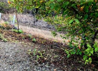 LOT FOR SALE, GUANACASTE, SANTA CRUZ, DIRIÁ - 9590502 