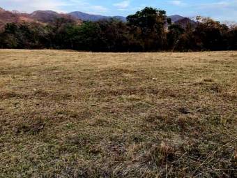 LOT FOR SALE, GUANACASTE, SANTA CRUZ, DIRIÁ - 9590502 