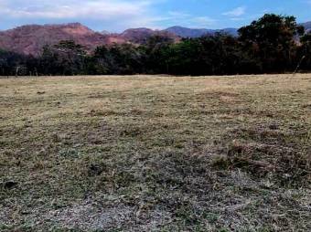 LOT FOR SALE, GUANACASTE, SANTA CRUZ, DIRIÁ - 9590502 