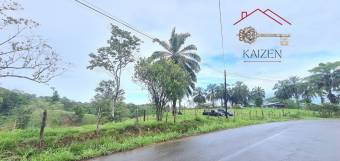 VENTA DE FINCA l SARAPIQUÍ l HEREDIA l PRECIO NEGOCIABLE.