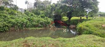 VENTA DE FINCA l SARAPIQUÍ l HEREDIA l PRECIO NEGOCIABLE.