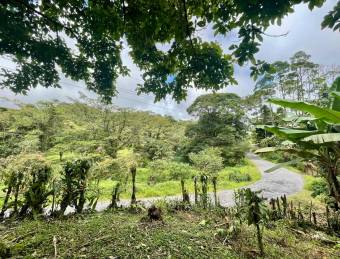 VENTA DE LOTE l SARAPIQUÍ l ALAUELA l PRECIO NEGOCIABLE.