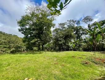 VENTA DE LOTE l SARAPIQUÍ l ALAUELA l PRECIO NEGOCIABLE.