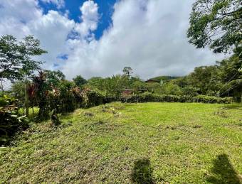 VENTA DE LOTE l SARAPIQUÍ l ALAUELA l PRECIO NEGOCIABLE.