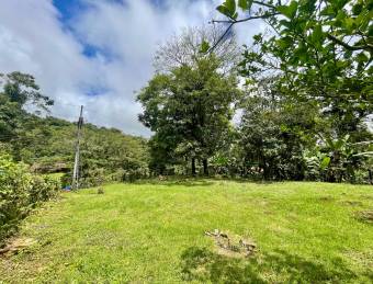 VENTA DE LOTE l SARAPIQUÍ l ALAUELA l PRECIO NEGOCIABLE.