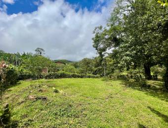 VENTA DE LOTE l SARAPIQUÍ l ALAUELA l PRECIO NEGOCIABLE.