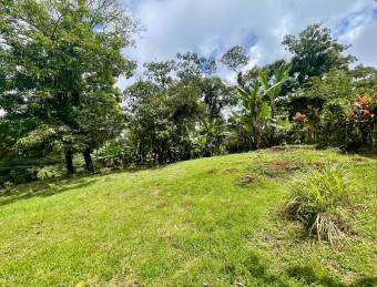 VENTA DE LOTE l SARAPIQUÍ l ALAUELA l PRECIO NEGOCIABLE.