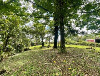 VENTA DE LOTE l SARAPIQUÍ l ALAUELA l PRECIO NEGOCIABLE.