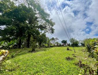 VENTA DE LOTE l SARAPIQUÍ l ALAUELA l PRECIO NEGOCIABLE.