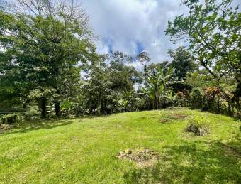 VENTA DE LOTE l SARAPIQUÍ l ALAUELA l PRECIO NEGOCIABLE.