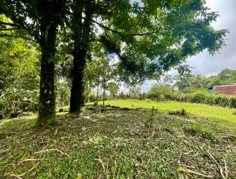 VENTA DE LOTE l SARAPIQUÍ l ALAUELA l PRECIO NEGOCIABLE.