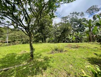 VENTA DE LOTE l SARAPIQUÍ l ALAUELA l PRECIO NEGOCIABLE.